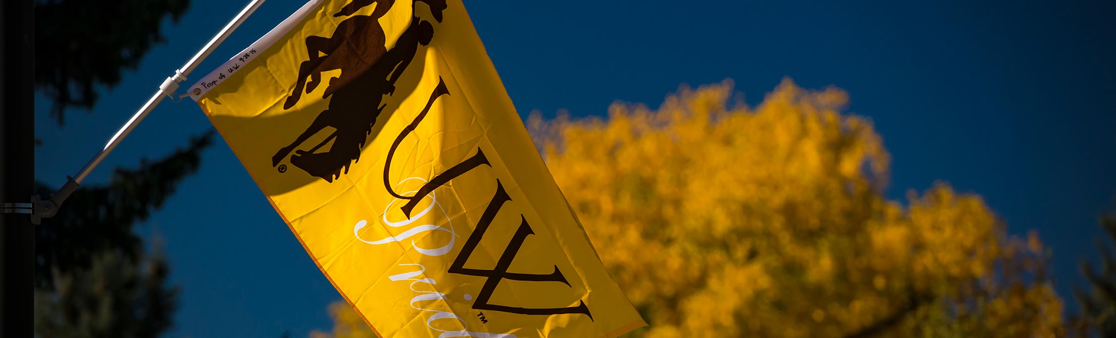 uwyo banner